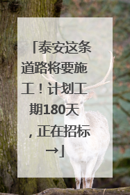 泰安这条道路将要施工！计划工期180天，正在招标→