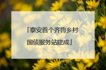 泰安首个齐鲁乡村国债服务站建成