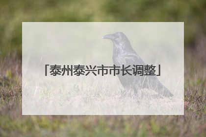 泰州泰兴市市长调整