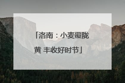 洛南：小麦覆陇黄 丰收好时节