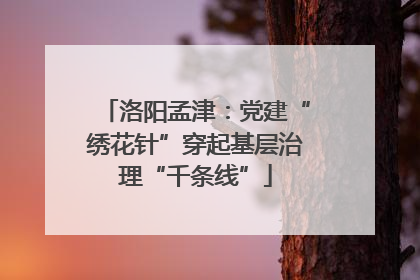 洛阳孟津：党建“绣花针”穿起基层治理“千条线”