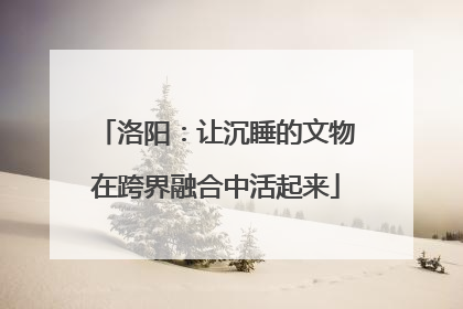 洛阳：让沉睡的文物在跨界融合中活起来