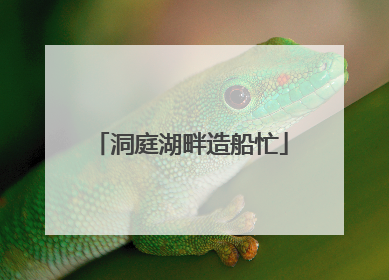 洞庭湖畔造船忙