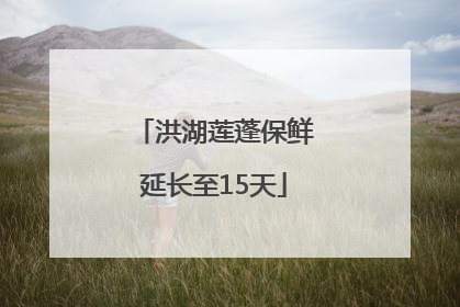 洪湖莲蓬保鲜延长至15天