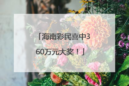 海南彩民喜中360万元大奖！