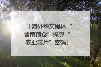 海外华文媒体“晋南粮仓”探寻“农业芯片”密码