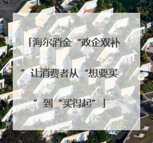 海尔消金“政企双补”让消费者从“想要买”到“买得起”