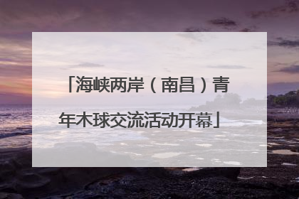 海峡两岸（南昌）青年木球交流活动开幕