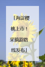 海淀樱桃上市！采摘游路线发布