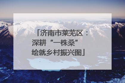 济南市莱芜区：深耕“一株桑” 绘就乡村振兴图