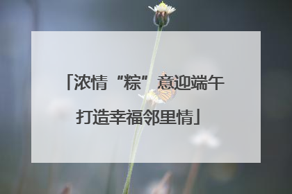 浓情“粽”意迎端午 打造幸福邻里情