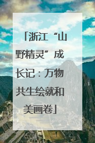 浙江“山野精灵”成长记：万物共生绘就和美画卷