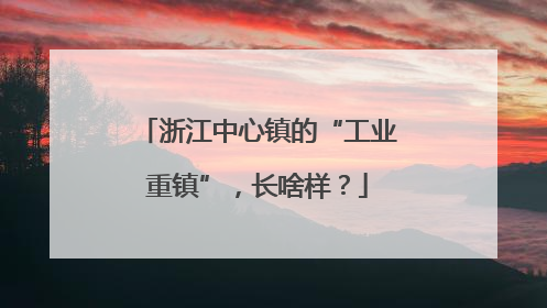 浙江中心镇的“工业重镇”，长啥样？