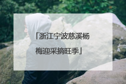 浙江宁波慈溪杨梅迎采摘旺季