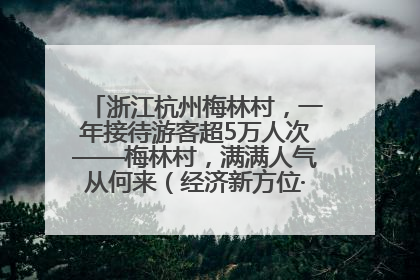 浙江杭州梅林村，一年接待游客超5万人次——梅林村，满满人气从何来（经济新方位·农村消费观察）