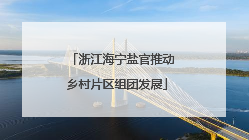 浙江海宁盐官推动乡村片区组团发展