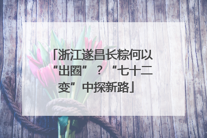 浙江遂昌长粽何以“出圈”？“七十二变”中探新路