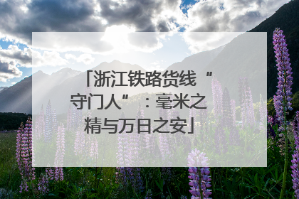 浙江铁路货线“守门人”：毫米之精与万日之安