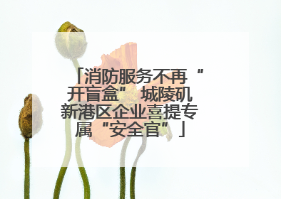 消防服务不再“开盲盒” 城陵矶新港区企业喜提专属“安全官”