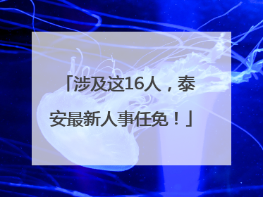 涉及这16人，泰安最新人事任免！