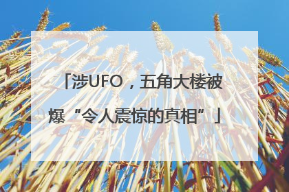 涉UFO，五角大楼被爆“令人震惊的真相”