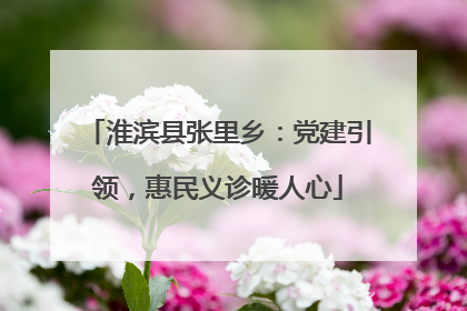 淮滨县张里乡：党建引领，惠民义诊暖人心
