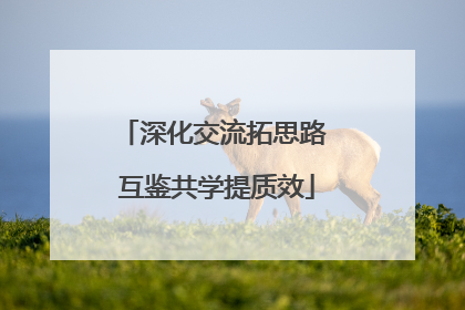 深化交流拓思路 互鉴共学提质效