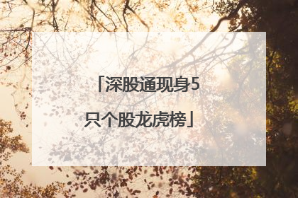 深股通现身5只个股龙虎榜