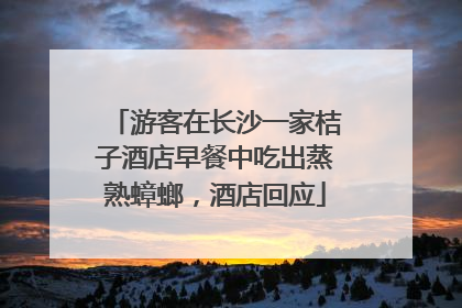 游客在长沙一家桔子酒店早餐中吃出蒸熟蟑螂，酒店回应