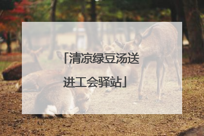 清凉绿豆汤送进工会驿站