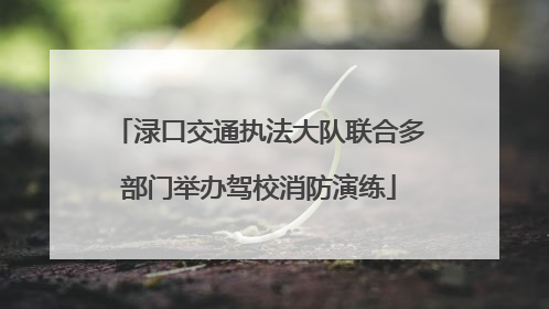 渌口交通执法大队联合多部门举办驾校消防演练