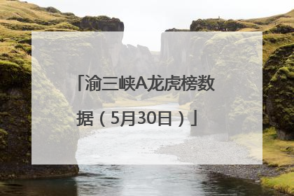 渝三峡A龙虎榜数据（5月30日）
