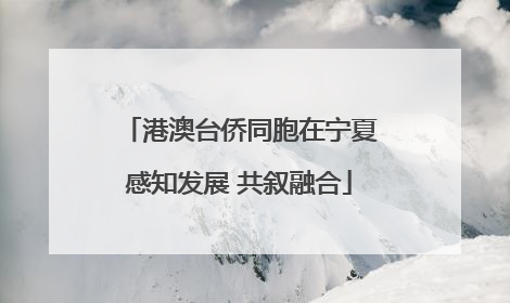 港澳台侨同胞在宁夏感知发展 共叙融合