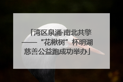 湾区泉涌·南北共擎——“花楸树”杯明湖慈善公益跑成功举办