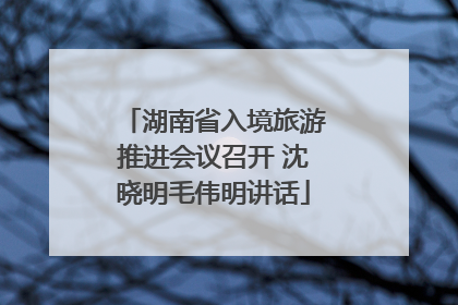 湖南省入境旅游推进会议召开 沈晓明毛伟明讲话