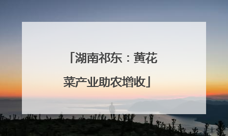 湖南祁东：黄花菜产业助农增收