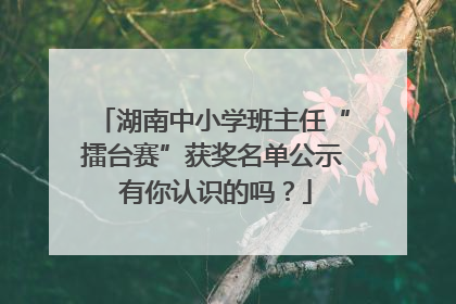 湖南中小学班主任“擂台赛”获奖名单公示 有你认识的吗？