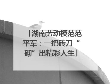 湖南劳动模范范平军：一把砖刀“砌”出精彩人生
