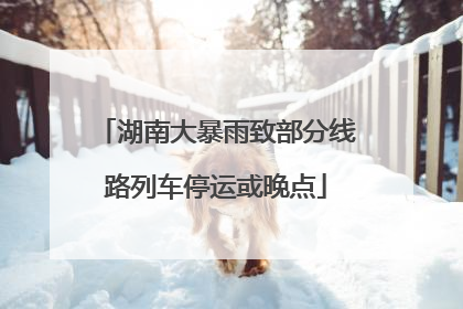 湖南大暴雨致部分线路列车停运或晚点