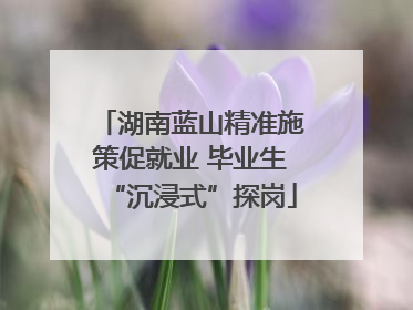 湖南蓝山精准施策促就业 毕业生“沉浸式”探岗