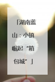 湖南蓝山：小镇崛起“箱包城”
