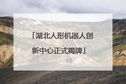 湖北人形机器人创新中心正式揭牌