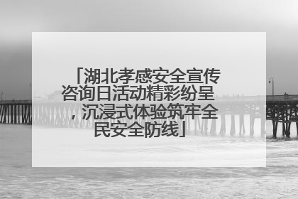 湖北孝感安全宣传咨询日活动精彩纷呈，沉浸式体验筑牢全民安全防线