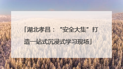 湖北孝昌：“安全大集”打造一站式沉浸式学习现场