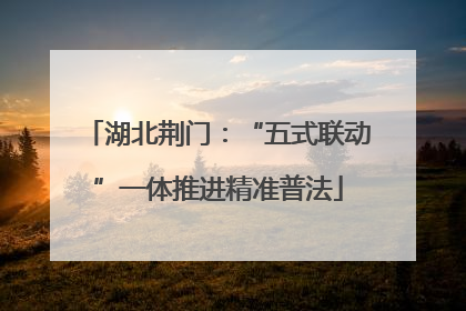 湖北荆门：“五式联动”一体推进精准普法