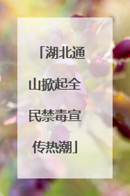 湖北通山掀起全民禁毒宣传热潮