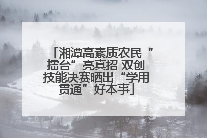 湘潭高素质农民“擂台”亮真招 双创技能决赛晒出“学用贯通”好本事