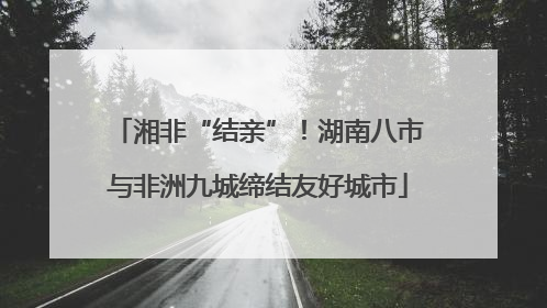 湘非“结亲”！湖南八市与非洲九城缔结友好城市