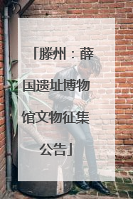 滕州：薛国遗址博物馆文物征集公告