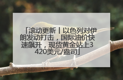 滚动更新丨以色列对伊朗发动打击，国际油价快速飙升，现货黄金站上3420美元/盎司